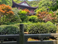 -十八棵（老龙井）御茶园(老龙井店)