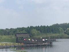-溱湖国家湿地公园
