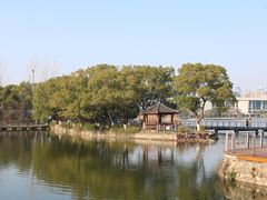 -月湖风景区