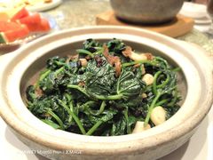 -粤珍轩·家宴·广式茶点(新城广场店)