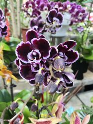 -今日陶艺(富力广场店)