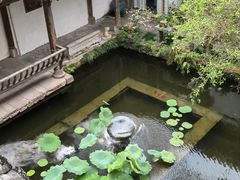 -诗莉莉·厚德堂私房菜