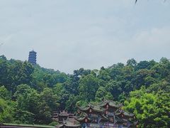 -老号尤兔头(幸福店)