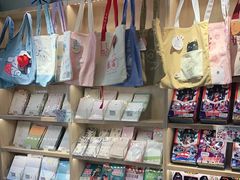 零售区-猫的天空之城概念书店(束河店)