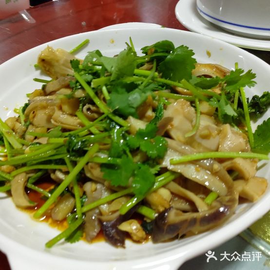 鹏元返点