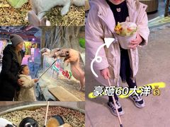 -正佳雨林生态植物园