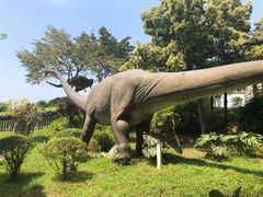 -自贡恐龙博物馆