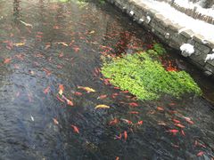 -水磨沟公园