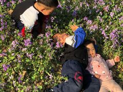 -碓臼峪自然风景区