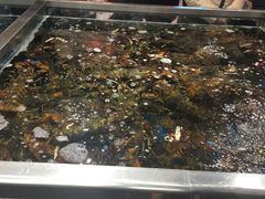 -盒马鲜生(大成店)