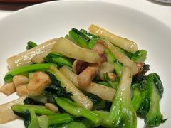 生炒连州苗族高山菜心-炳胜私厨(万象前海店)