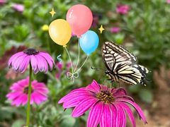 -北京国际鲜花港