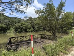 -黄埔油麻山森林公园
