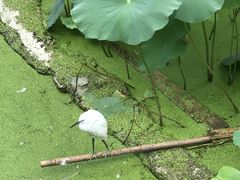 -宝光寺
