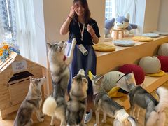 -Husky Go! 哈士奇体验馆·宠物咖啡厅狗咖