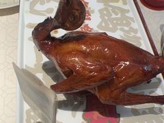 -大鸽饭(岗顶店)