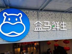 门面-盒马鲜生(双清路店)