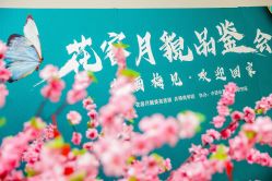 -阅年轻·AI家庭健康体质调理