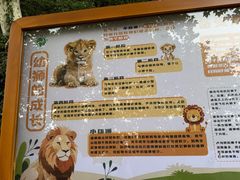 -昆明动物园