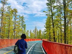 -白鹭湾湿地公园