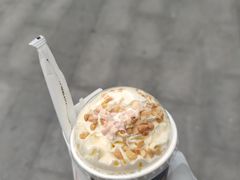 雪顶清香乌龙奶茶-书亦烧仙草(汇智中心概念店)
