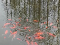 -金银湖国家城市湿地公园