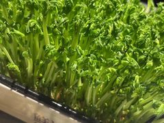 -益氣煲·筒骨砂锅火锅(安吉直营店)