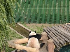 -沈阳森林动物园