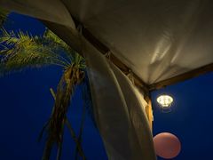 -精酿农场Brew Farm·沙漠绿洲餐厅