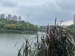 -重庆彩云湖湿地公园