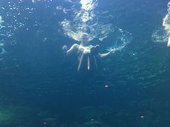 -洛阳龙门海洋馆