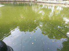 -鲁迅公园-垂钓中心