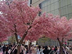 -东莞松山湖万象汇