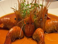 -桂满陇·海市蜃楼·黑金(国金店)