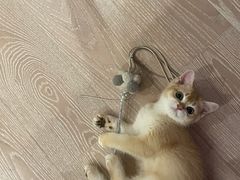 -联合动物医院(光谷诊疗中心)