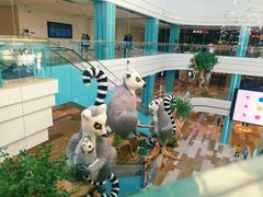 -大族广场Mall&More