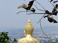 -西双版纳勐泐文化旅游区