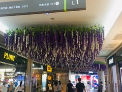 -深圳龙华星河COCO City(民治店)