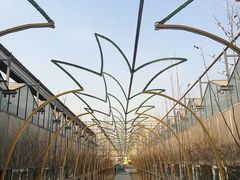 -南宫温泉水世界