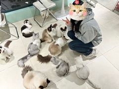 -怪兽屋·羊驼·猫咖·狗咖(俊华广场店)
