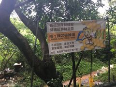 -南丫岛