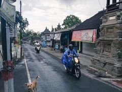 -乌布德传统市场