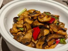-幸福的烤包子·新疆菜