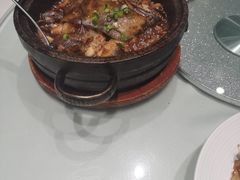 -海派美食·家宴海鲜青岛菜·石锅鲽鱼头(东方城店)