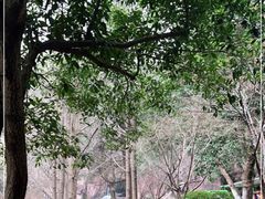 -岳麓山风景名胜区