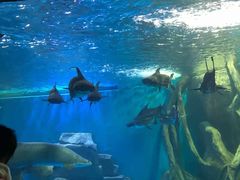 -多彩贵州城极地海洋世界