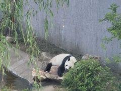 -沈阳森林动物园