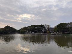 -江心屿景区