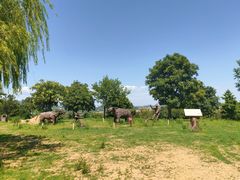 -北京西山国家森林公园