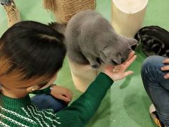 -藦茜花园宠物主题亲子互动体验馆(国顺东路店)